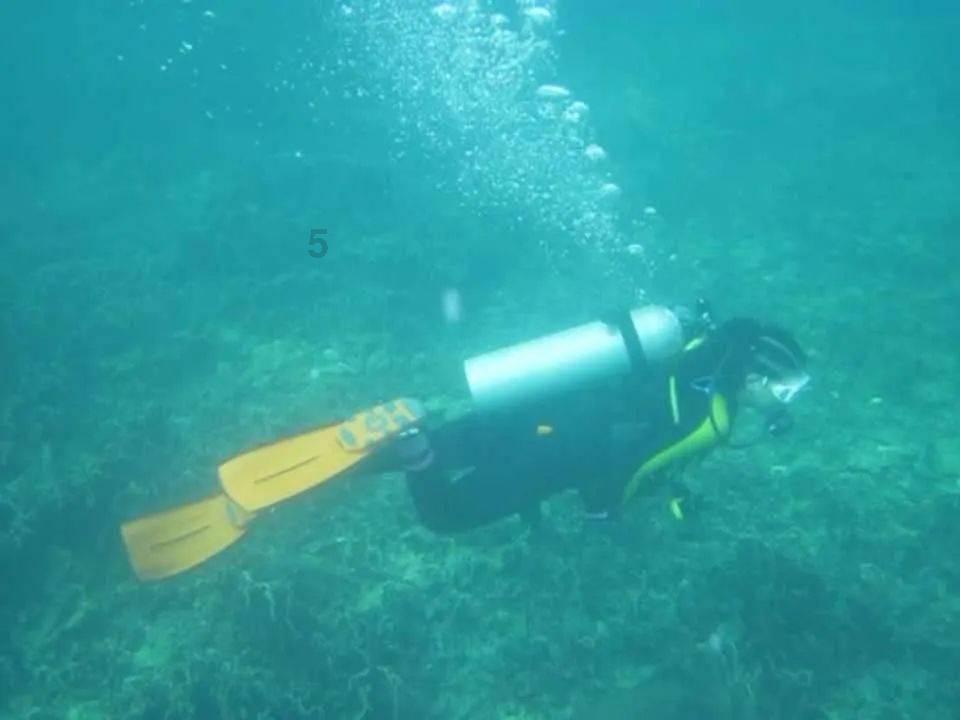 特产水果“硬”道理